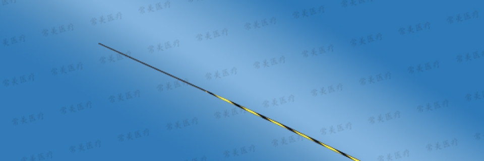 一次性使用消化道气道用导丝