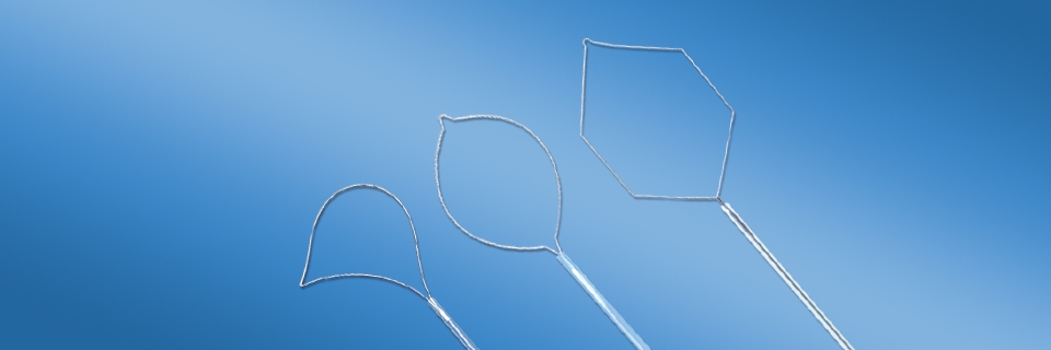 Endoscopic Foreign Body Forceps-With Loop