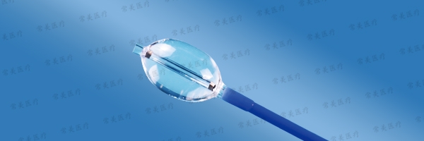 椎体扩张球囊导管