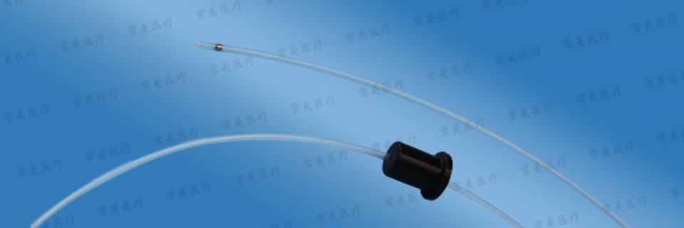 一次性内窥镜用导引器