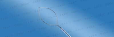 一次性使用圈套器