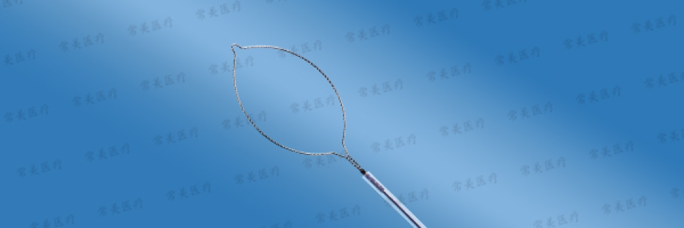 一次性使用圈套器